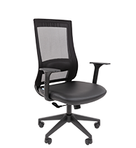 CHAIRMAN 500LT ЭКО БП