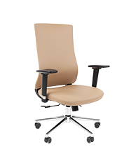 CHAIRMAN 500 LUX БП