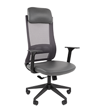 CHAIRMAN 500LT ЭКО